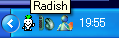 PCの右下にRadishが起動していることを確認します。